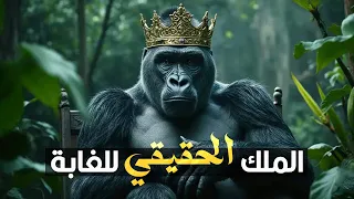 أسرار حياة الوحش اللطيف الغوريلا 