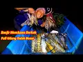 Download Lagu Rejeki Nomplok Pasang Perangkap Dapat Banyak Udang Galah Besar Langsung Diborong Sama Orang