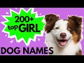 Top 200 Unique FEMALE Dog Names - Girl Dog Names