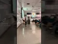 Lola Bunny disrupts class