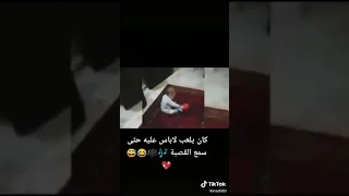 منين سمع لموسيقى شن وقع 