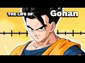 The Life Of Gohan Dragon Ball