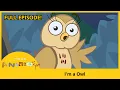 Download Lagu 🦉 I'm an Owl | I'M AN ANIMAL