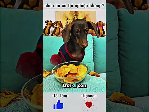 con muốn ăm bim bim thôi mà