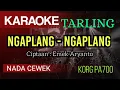 Download Lagu NGAPLANG - NGAPLANG ( KARAOKE TARLING KOPLO NADA CEWEK )