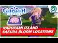 【GENSHIN IMPACT】All Sakura Bloom locations in Narukami Island