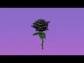 Download Lagu B L A C K   R O S E - Emotional Dark Trap Beat (Prod.Tower x Marzen G x Juanko)