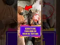 Download Lagu Sesuatu hal pada uang ini bikin dia tertawa ❗ #videoviral