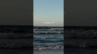 لا بقيت تسمعني وتفهمني خالد الصيفي عمرو دياب عارف حبيبي حالات واتس الهضبة رومانسي حب 