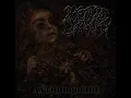 Brutal Slamming Death Metal 2023 Full Album \