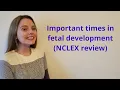 IMPORTANT WEEKS IN FETAL DEVELOPMENT NCLEX REVIEW
