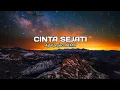 Lagu DJ Cinta Sejati || ( Aipal project REMIX )