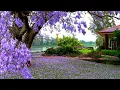 The Lonely Shepherd - James Last
