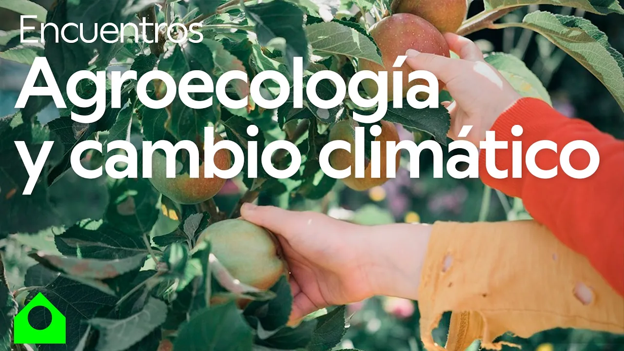 Agroecología y resiliencia al cambio climático (con Clara Nicholls)