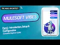 MuleSoft Vibes Part 1 Complete Installation Setup Guide