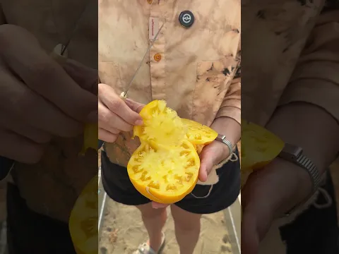Король Сибири