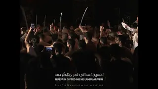 شعيرة المشق علي بوحمد 