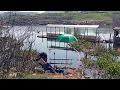 Download Lagu Spot hanyir‼️ serangannya bikin nyengi | mancing cirata terbaru 