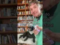 Anti inflammatory Drug Side Effects in Dogs and Cats are Common How to AVOID them