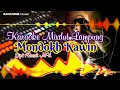 Download Lagu Karaoke Mixdut Lampung MONDOKH KAWIN