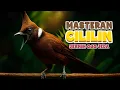 Download Lagu MASTERAN CILILIN JERNIH FULL GACOR | DURASI 10 JAM ‼️