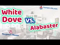 WHITE DOVE VS ALABASTER Best Light Neutral Paint Colors