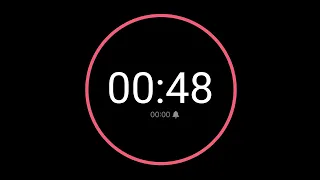 48 Second Countdown Timer iPhone Timer Style