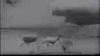 آهنگی زیبا از فیلم خوشگل محله 