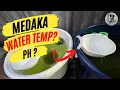 Download Lagu 【MEDAKA】Green Water and pH, Tub Color and Temperature. Japanese Rice Fish Strong? 【メダカ】【RiceFish】
