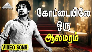  video song muradan muthu sivaji ganesan devika t g lingappa