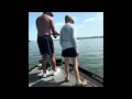Kentucky Lake Big Cat