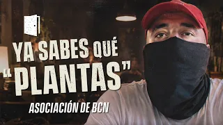 LA VERDAD de las ASOCIACIONES de “PLANTAS” en BARCELONA 🌿🔥💨