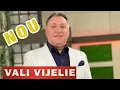 Download Lagu VALI VIJELIE - ❌Si daca viata mea o vrei❌ (Cele mai frumoase manele COLAJ)
