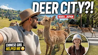 I Chilled With Deer in This Japanese City 😭 | A Chinese Girl Helped Me Do This