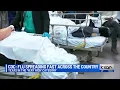 Flu activity very high, COVID-19 still prevalent ahead of holiday season