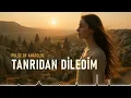 Tanrıdan Diledim (Anatolian Psychedelic Folk) - Pulse of Anatolia