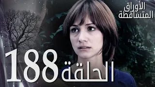 الأوراق المتساقطة الحلقة 188 كاملة مدبلجة بالعربية Leaf Cast 