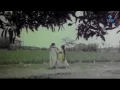 Download Lagu Manthoppu Kiliye   Tamil Full Movie 1 mpeg4