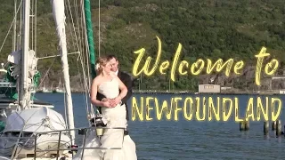 Welcome to St. John’s, Newfoundland  | #1 | DrakeParagon Sailing Season 4