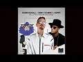 Robin Schulz x Timmy Trumpet x KOPPY - All The Things She Said (Extended Mix)