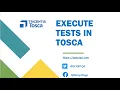 Tosca Tutorial Lesson 59 - Execute Test Cases Execution Lists Test Results Execution Entry