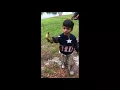 Hawk snatches up duckling after child sets it free