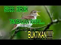 Download Lagu sikatan londo gacooorrr...