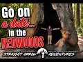 I Let AI Plan My Date in the Redwoods Big Mistake