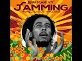 Jamming (Tropkillaz Remix (Extended))