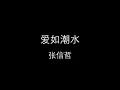 张信哲 - 爱如潮水 【歌词版】