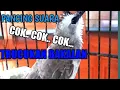 Lagu trucukan gacor suara cok... cok... cok.... untuk memanggil lawan