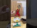 Download Lagu Smart monkey: stop I don't need to eat egg bread anymore #shots #funny #animal