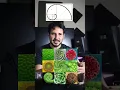 The Brilliance of “Lateralus” (Tool) full video