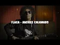 Flaca - Andrés Calamaro | Letra 